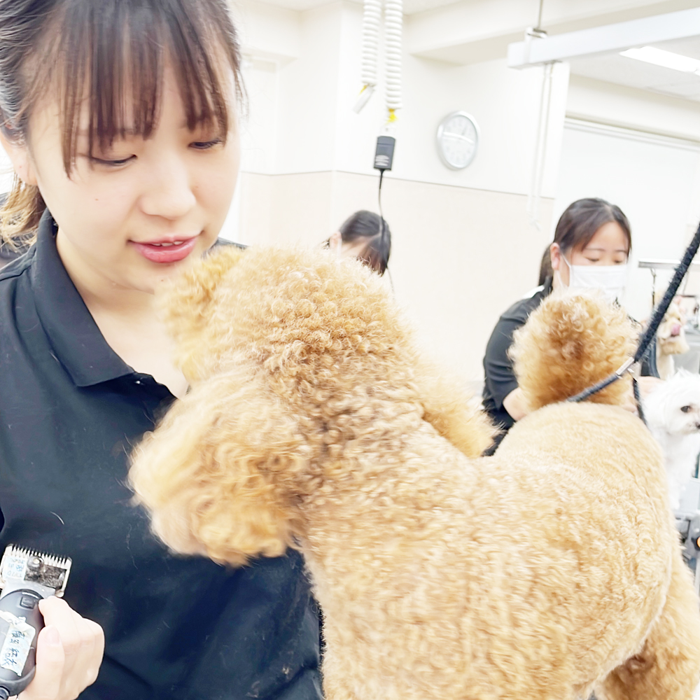 ☆スキルアッププログラム☆